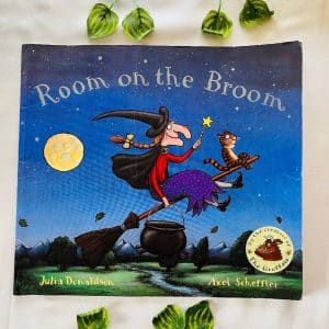 Room on the Broom By Julia Donaldson