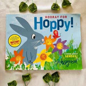 Hooray For Hoppy! Picture Story Book