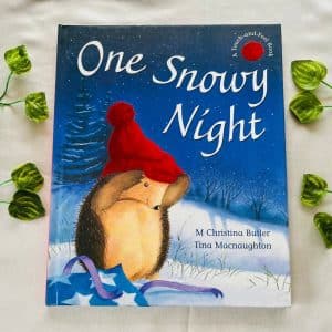 One Snowy Night