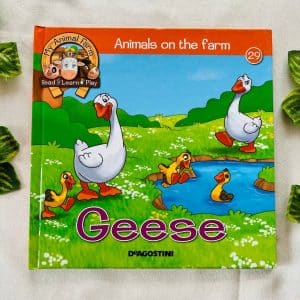 Animals on the Farm: Geese