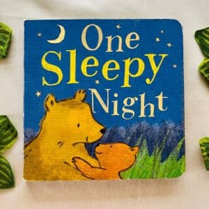 One Sleepy Night: Board Book