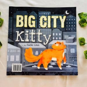 Big City Kitty: Picture Story Book