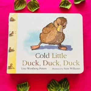 Cold Little Duck, Duck, Duck: Board Book