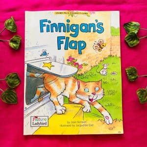Finnigan's Flap: Picture Story Book