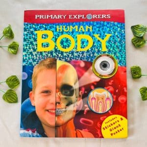 Human Body
