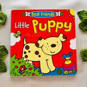 Little Puppy: Board Book