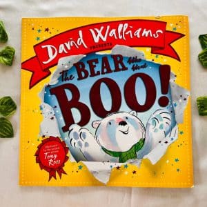 The Bear Who Went Boo! Picture Story Book