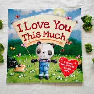 I Love You This Much: Picture Story Book