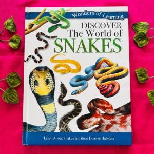 Discover The World of Snakes