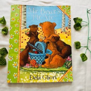 Mr Bear's Picnic: Picture Story Book