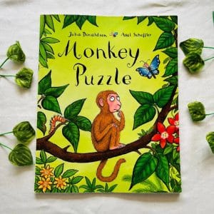 Monkey Puzzle By Julia Donaldson