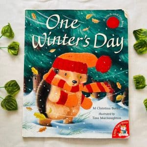 One Winter's Day: Picture Story Book
