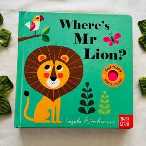 Where's Mr Lion? Board Book with Felt Flaps and a Mirror