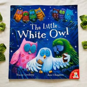 The Little White Owl: Picture Story Book