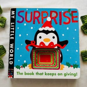 Surprise The Book that Keeps on Giving! Board Book