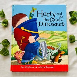Harry and the Bucketful of Dinosaurs