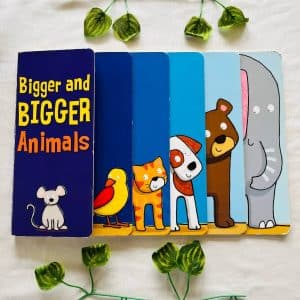 Bigger and Bigger Animals: Board Book