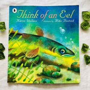 Think of an Eel: Picture Story Book