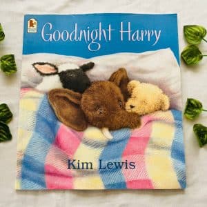 Goodnight Harry: Picture Story  Book