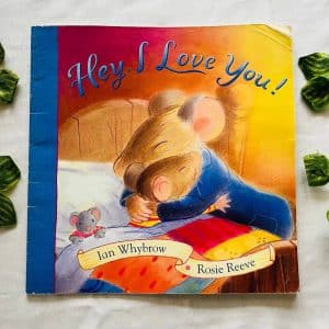 Hey, I Love You: Picture Story Book