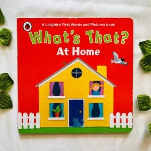 What's That? At Home: Board Book