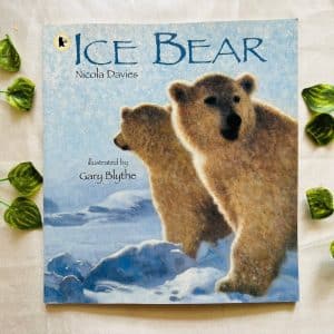 Ice Bear: Picture Story Book