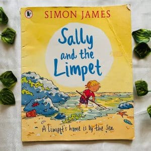Sally and the Limpet: Picture Story Book