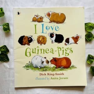 I Love Guinea-Pigs: Picture Story Book