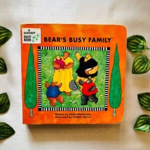 Bear's Busy Family: Board Book