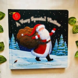 A Very Special Visitor: Board Book