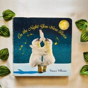 On The Night You Were Born: Board Book