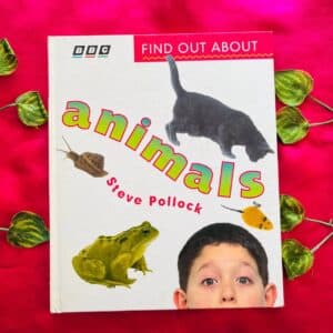 Animals Steve Pollock