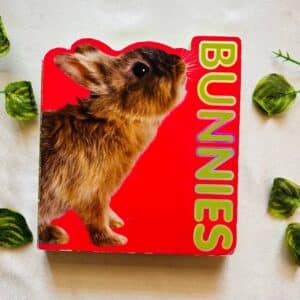 Bunnies: Board Book