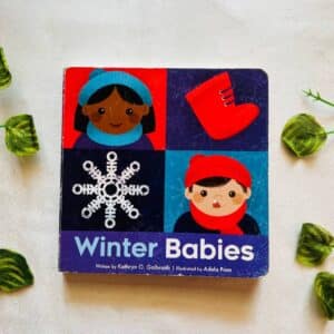 Winter Babies: Board Book