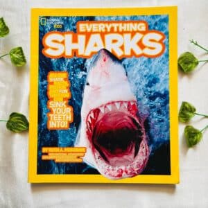 Everything Sharks