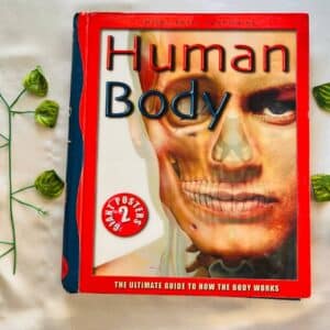 Human Body