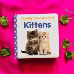 Kittens: Board Book