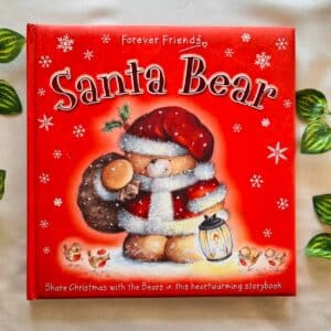 Santa Bear