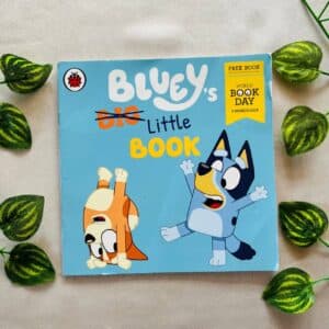 Bluey Little Book