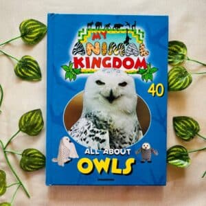My Animal Kingdom All About Owls
