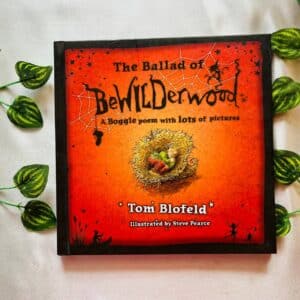 The Ballad Of Bewilderwood