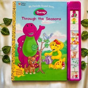 Through The Seasons(No Sound)