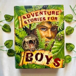 Adventure Stories For Boys