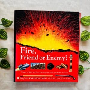 Fire, Friend Or Enemy?