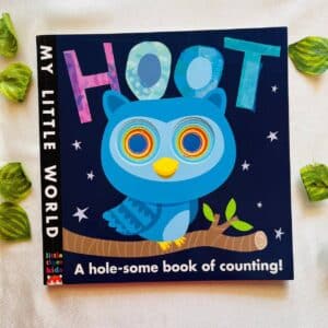 Hoot: A Hole-Some Book of Counting
