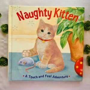 Naughty Kitten: Touch and Feel Board Book
