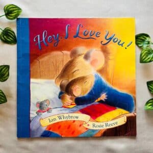 Hey, I Love You! Picture Story Book