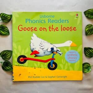 Usborne Phonics Readers: Goose on the Loose