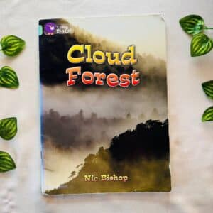 Cloud Forest