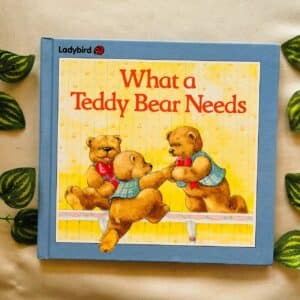 What a Teddy Bear Needs